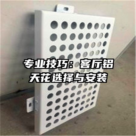 專業(yè)技巧：客廳鋁天花選擇與安裝