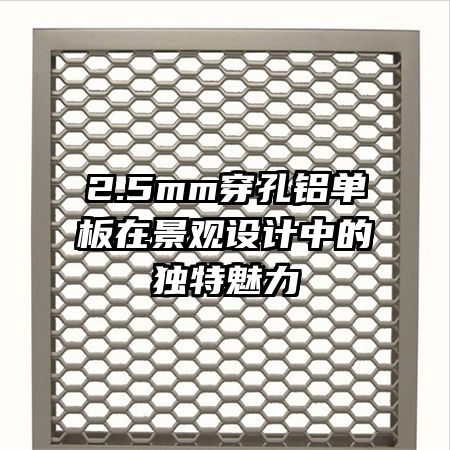 2.5mm穿孔鋁單板在景觀(guān)設(shè)計(jì)中的獨(dú)特魅力