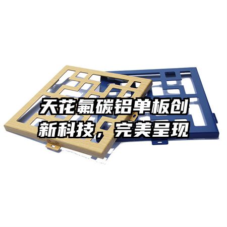 天花氟碳鋁單板創(chuàng)新科技,完美呈現(xiàn)